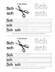 DaZ-Buchstabe-Sch-üben.pdf